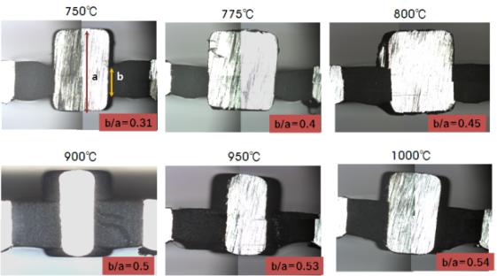 접합 온도에 따른 접합 단면