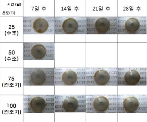 저장 조건에 따른 전지 상태