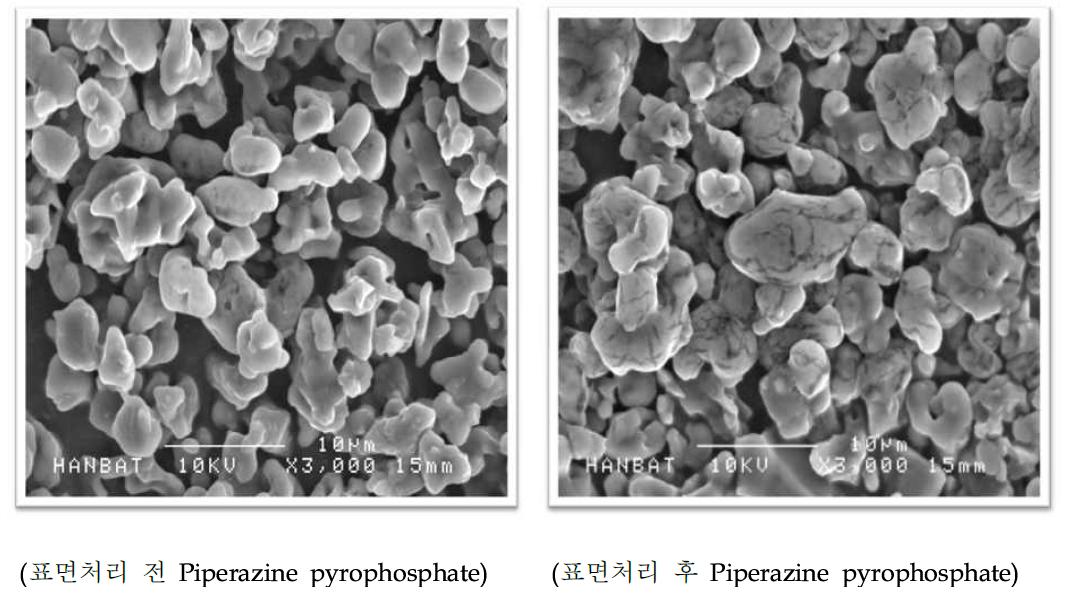 표면처리 전후 PPP 표면 SEM 분석 사진