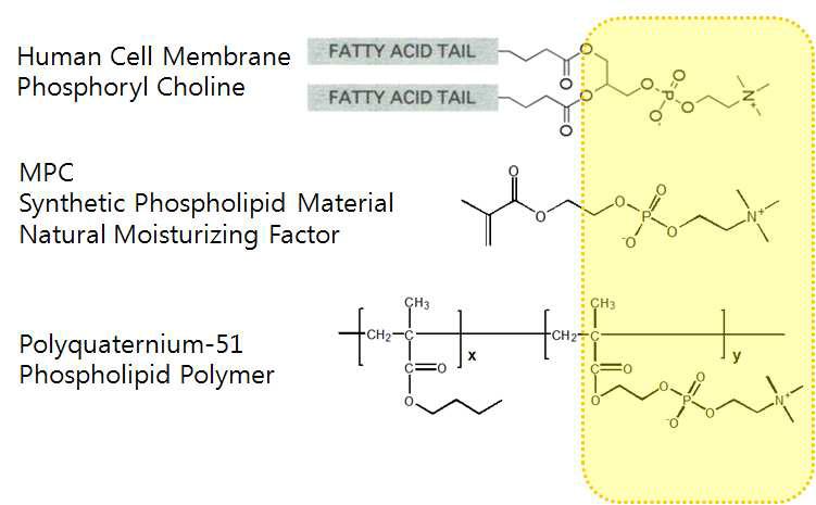 인지질(Phospholipid 와 Polyquaternium-51의 인지질구조