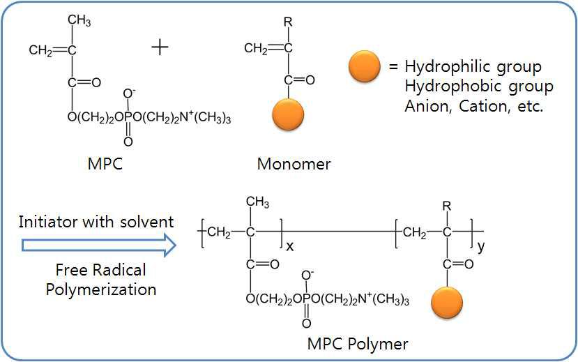 인지질폴리머(MPC Polymer)의 합성 개요도