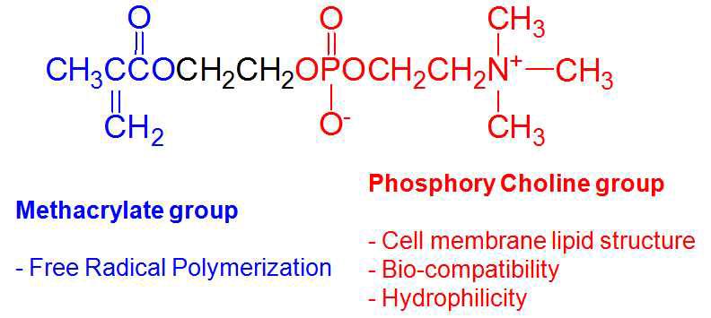 2-Methacryloyloxyethyl Phosphoryl Choline (MPC)의 구조식