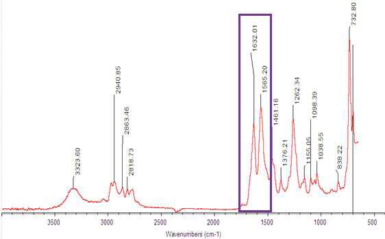 Aminated AA의 FT-IR 스펙트럼