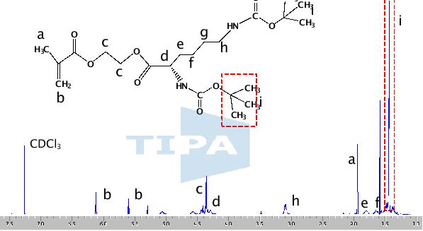합성된 lysine(Boc)-HEMA의 1H-NMR 측정 결과