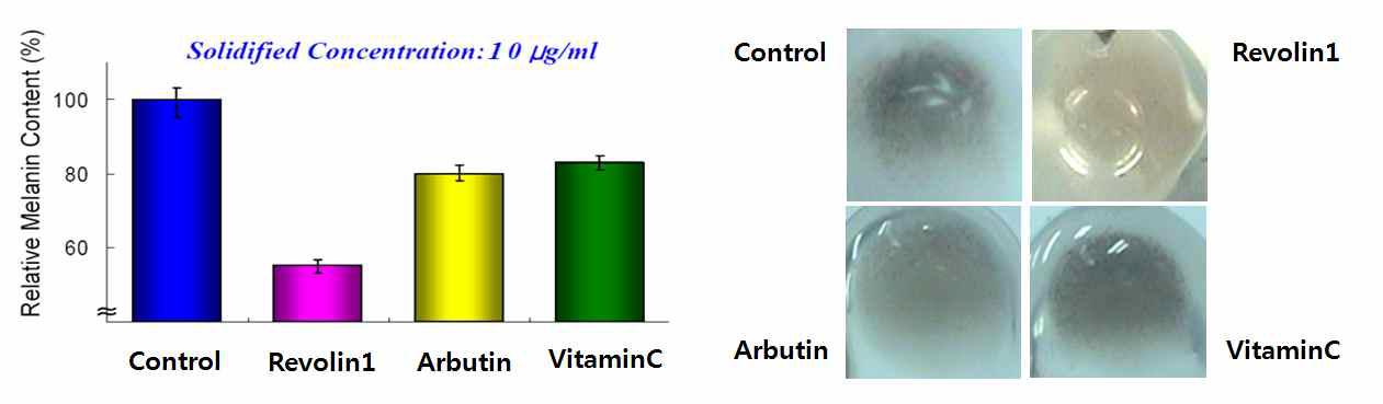 Revolin1과 다른 미백 원료의 melanin 합성 억제 효능 비교