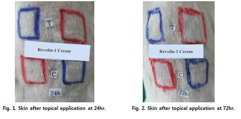토끼를 이용한 Revolin1 cream 의 피부 자극 시험 결과