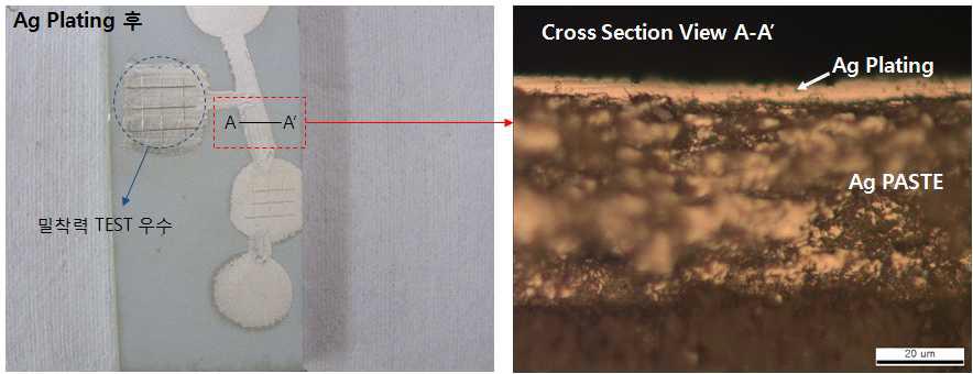 Electroless Ag Plating on Ag Paste phase