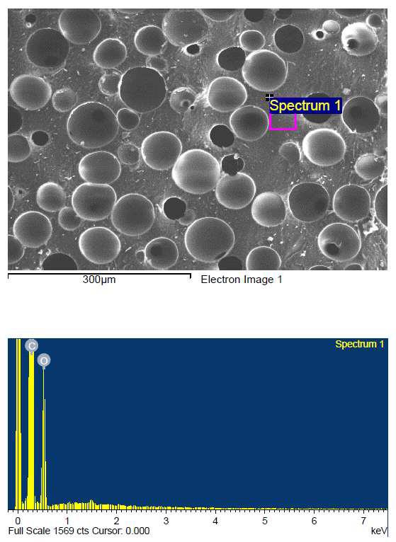 Control(Getzner) SEM image