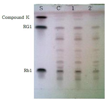 The TLC chromatogram of 10% red ginseng ginsenoside fermented isolate 3B2 and SFB1.