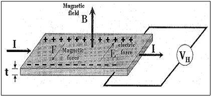 홀 효과의 원리