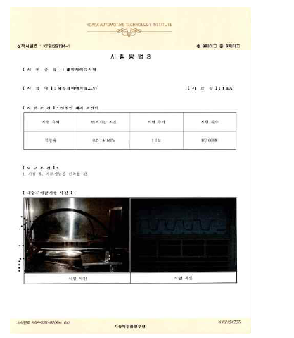 자부연시험성적서(6/9)