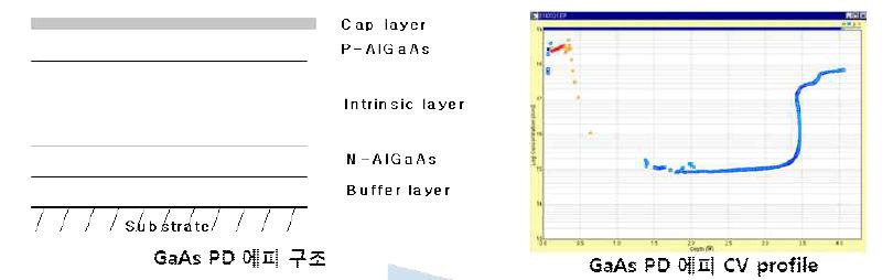 PD Chip의 에피 기본 구조 및 성장된 에피의 측정 데이터