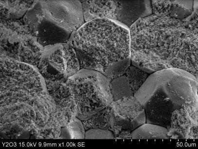 중국산 Y2O3 과립의 냉간 정수압 성형 후 성형체의 파단면 사진