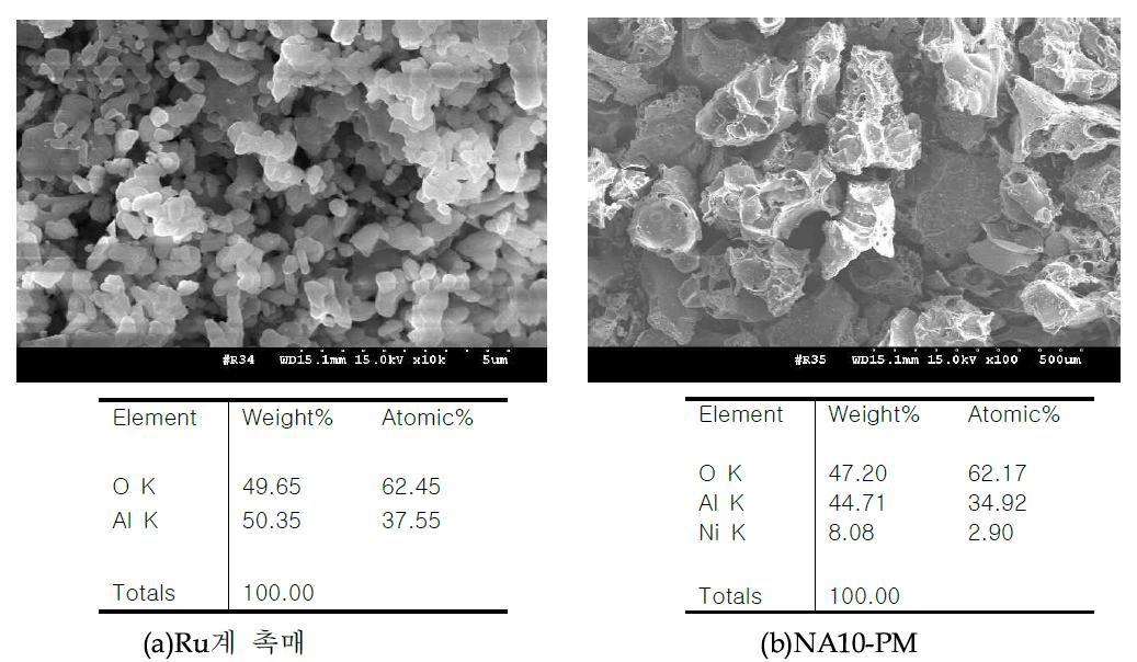 (a)Ru계 촉매와 (b)NA10-PM 촉매의 반응 후 SEM-EDX 결과