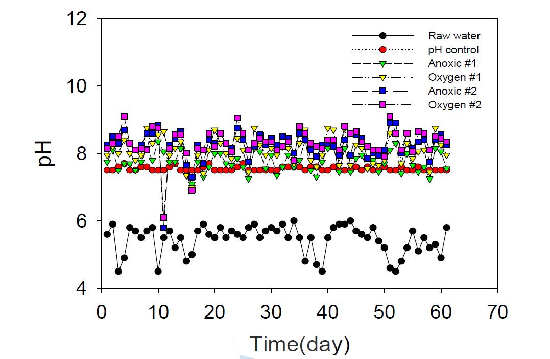Ge-Siloxane 유동상 미립담체를 이용한 AOAO 공정의 일일 pH