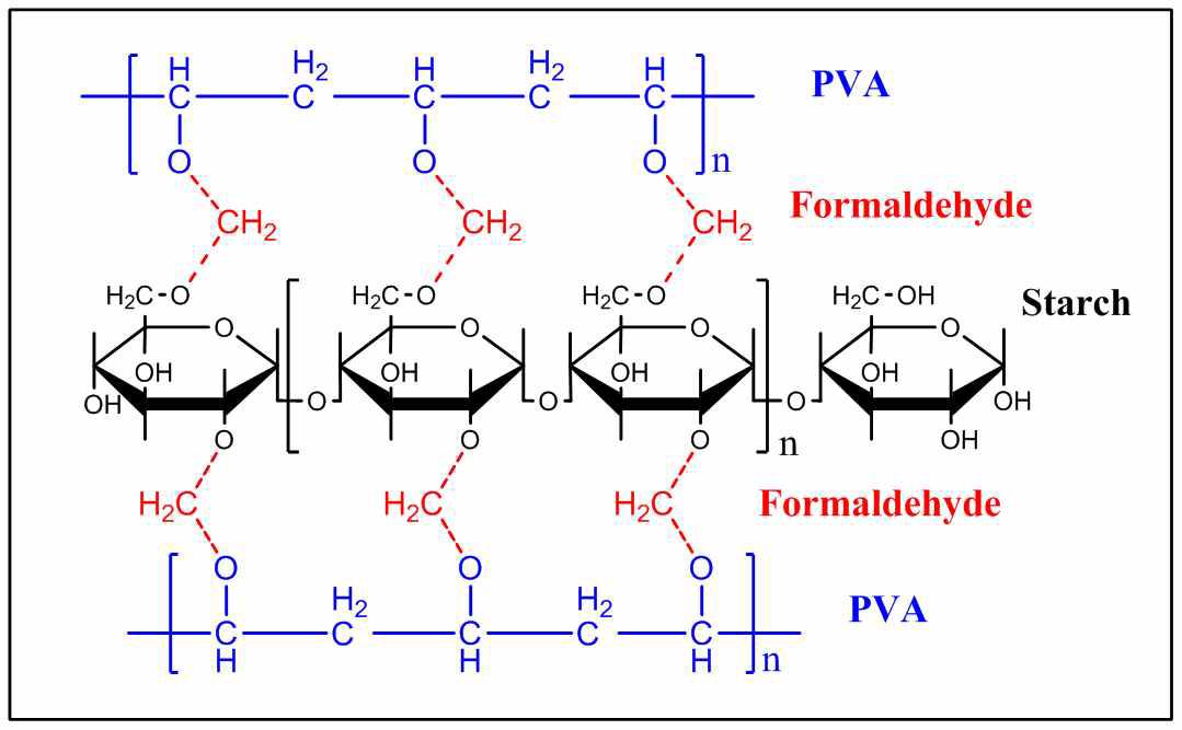 전분과 PVA의 수소결합