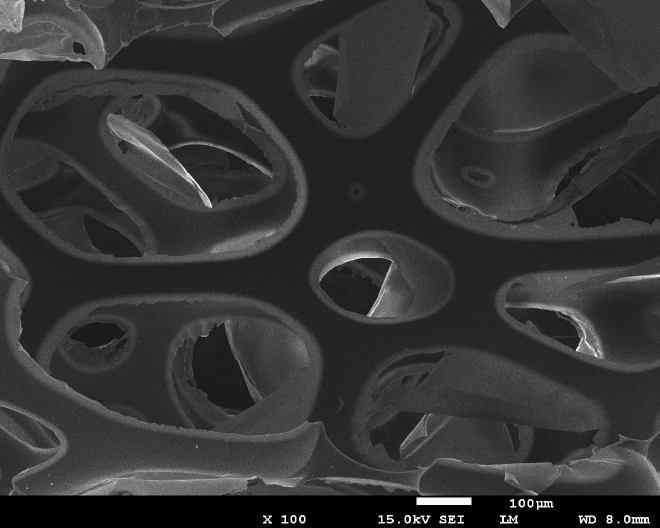 A08 Gelatin 無첨가 PU 담체 SEM 100배