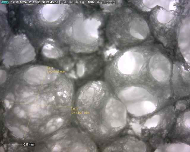 실험 A의 분해형 발포제 CaCO3를 이용한 Ge-PVA담체의 100배 확대 이미지