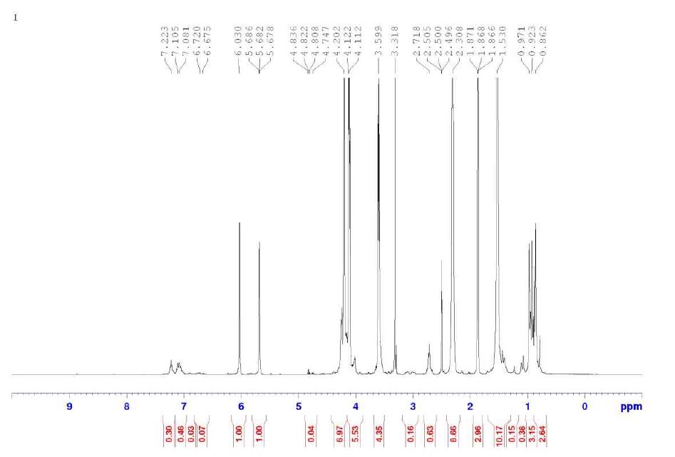 합성된 DST-100의 1H-NMR분석 Chart