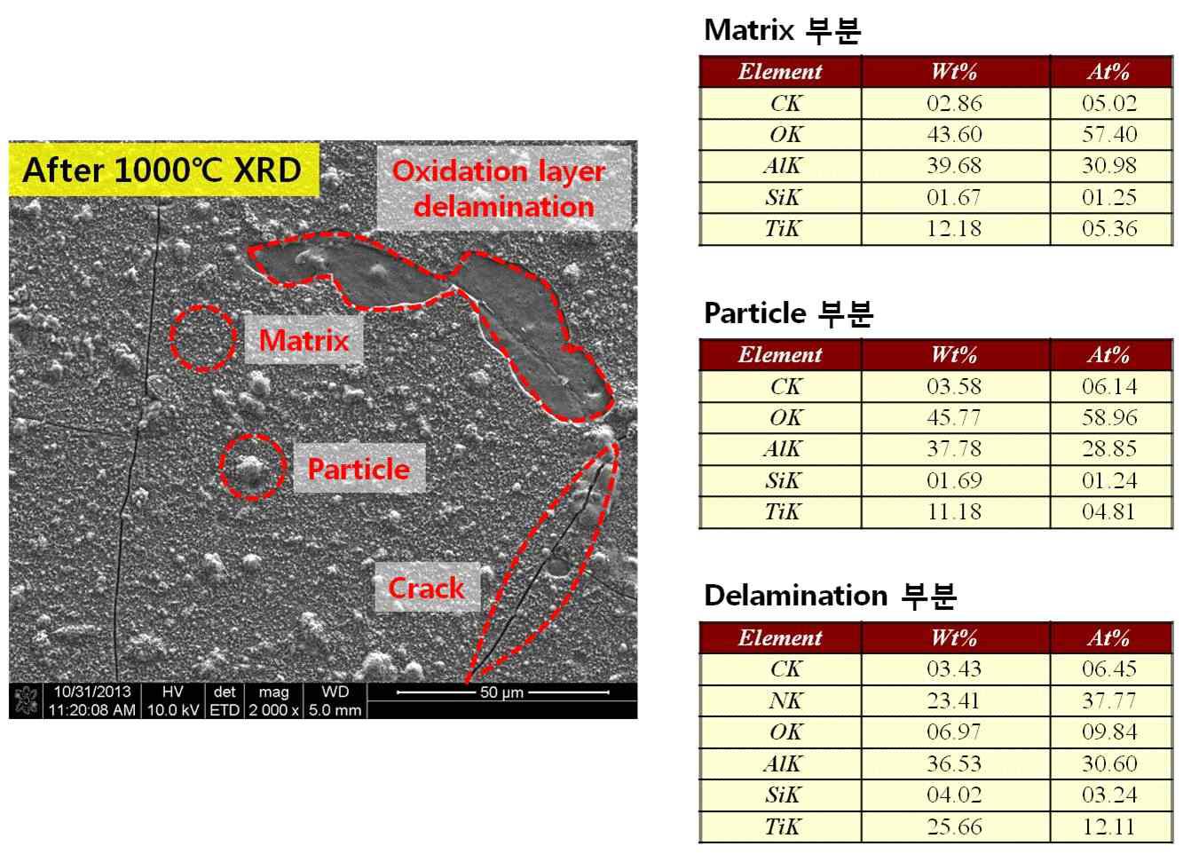 고온 XRD 시편 FE-SEM 분석( 1000℃)
