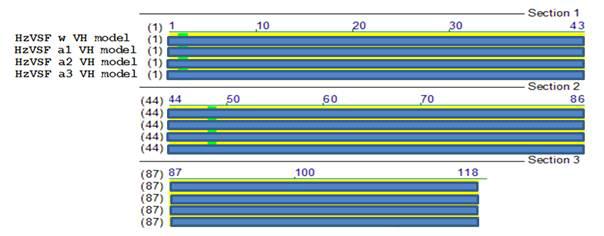 HzVSF w VH와 HzVSF a1, a2, a3 VH alignment