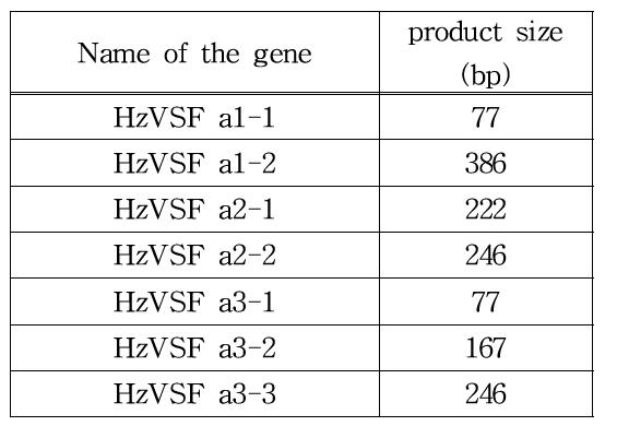 HzVSF a1, a2, a3 heavy chain variable region PCR products