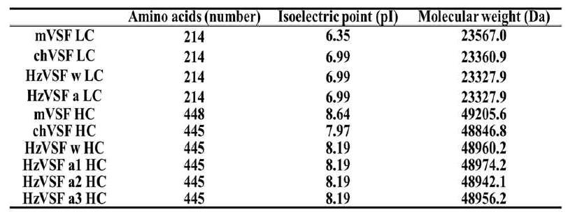 HzVSF w & a의 pI와 MW