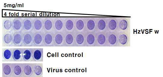 HzVSF w의 항-influenza virus 효과