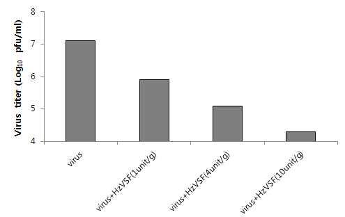 HzVSF w의 embryonated egg에서의 바이러스증식 억제효과
