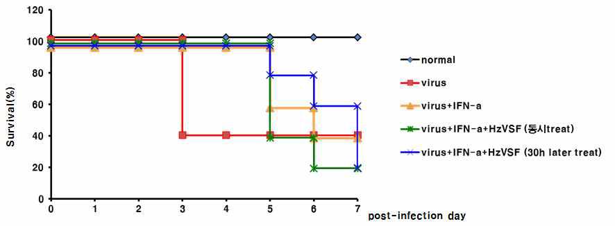 MHV-2에 대한 HzVSF w의 폐사율 억제 효과