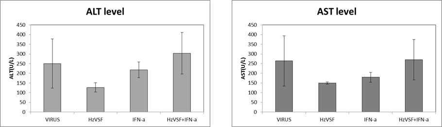 HzVSF w이 ALT와 AST의 분비에 미치는 영향 평가