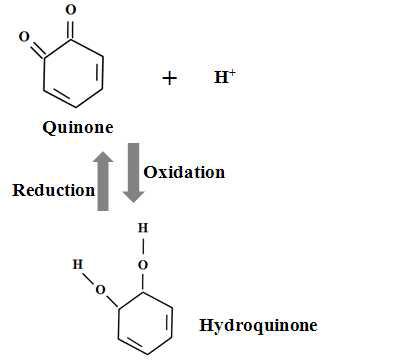 Quione/Hydroquione의 산화환원반응