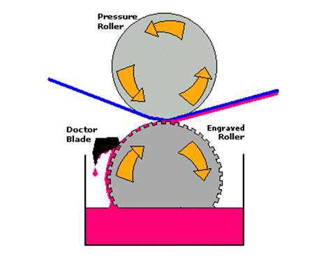Gravure coater 모식도