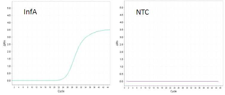 InfA의 Real-Time PCR 증폭곡선