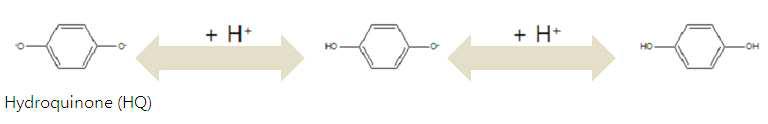 DNA 와 반응성을 가지고 있는 전기화학적 활성물질 하이드로퀴논