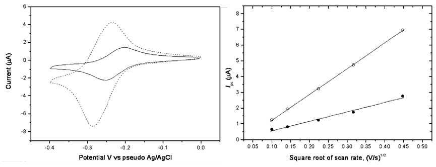 좌: DNA와 반응하고 있는 메틸렌블루(실선)과 자유상태의 메틸렌블루(점선), 우: Cathodic peak current vs. square roots of scan rates, ○: 자유상태의 메틸렌블루, ●: DNA와 반응한 메틸렌블루