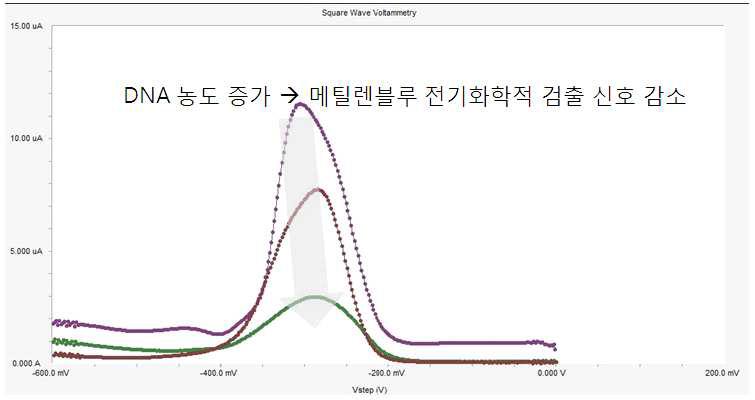 DNA 농도 증가에 따른 메틸렌블루의 전기화학적 검출 신호 감소