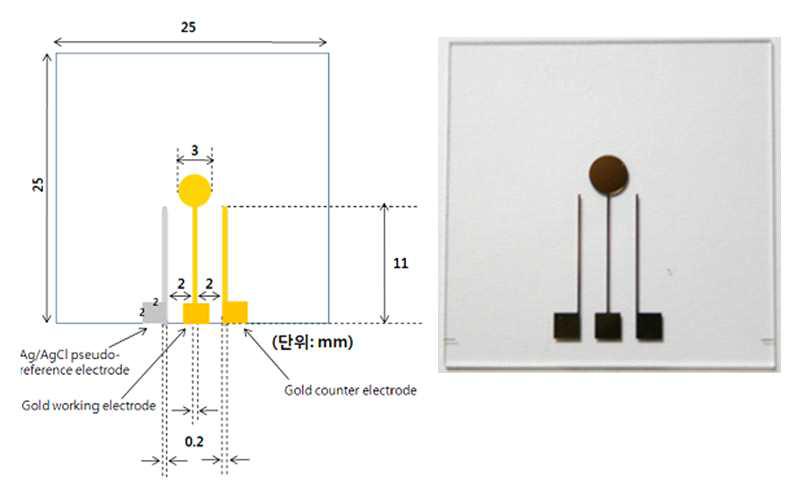 패터닝된 진단 칩 제작을 위한 전극 디자인(좌) 모식도와 패터닝된 진단 칩 (우)