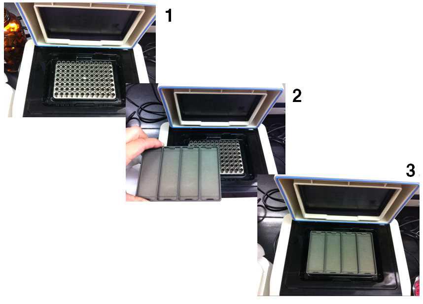 slide griddle adaptor를 PCR 장치 위에 올리는 순서