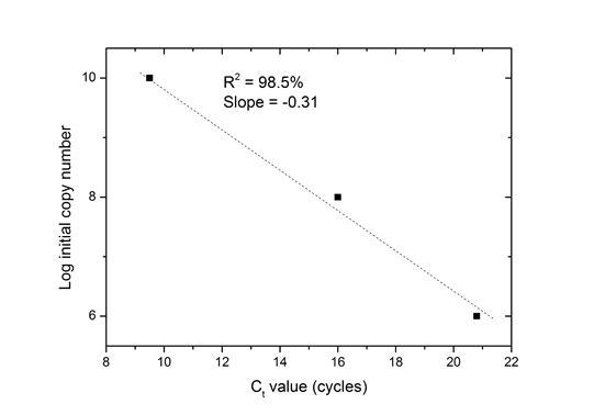 InfA 유전자의 initial copy에 대한 Ct 값(PCR efficiency = 104%)