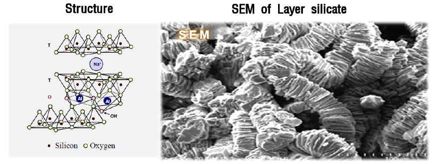 층상실리케이트의 결정구조 및 SEM