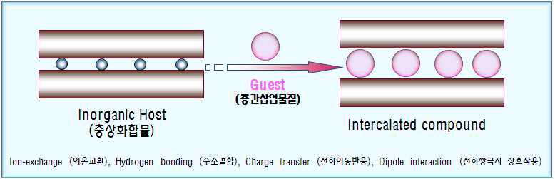 층상무기화합물의 층간삽입 반응 모식도