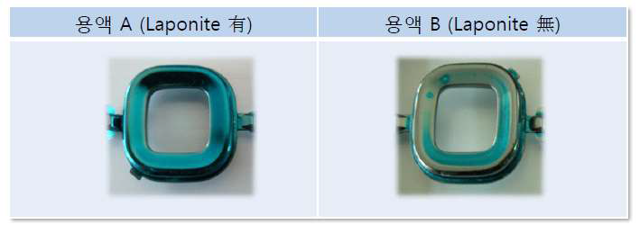 층상실리케이트 함유 여부에 따른 색소정착층 여부 평가결과