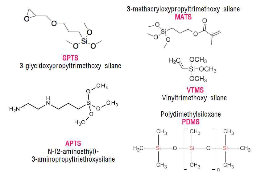 본 연구에서 사용된 실란의 종류 및 분자구조