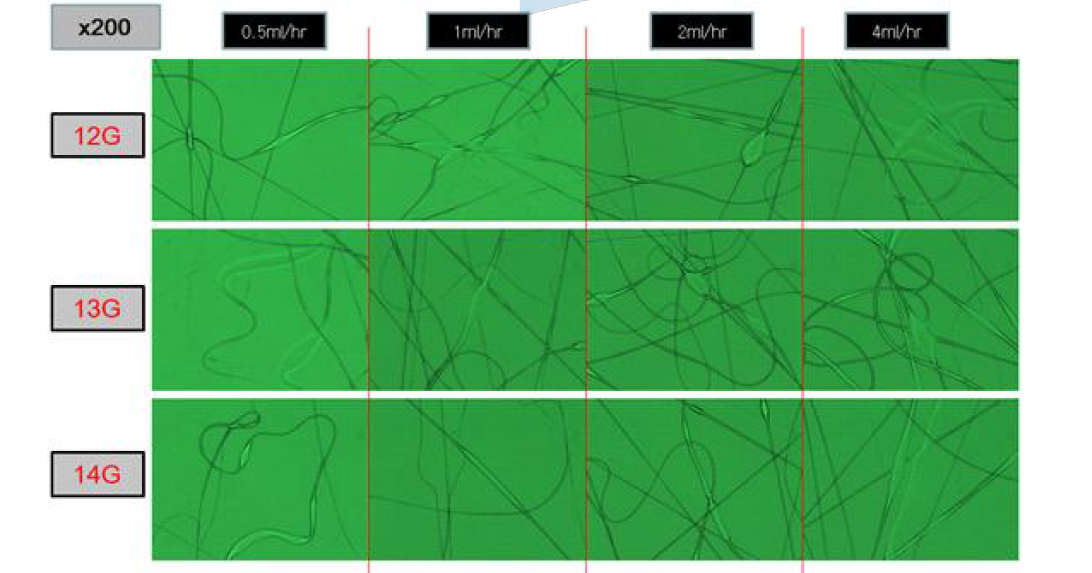 노즐 크기별(12, 13, 14G) 전기방사 현미경 사진.