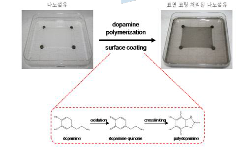 Dopamine을 이용한 섬유의 기능성 코팅과정.