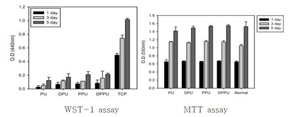 Cytotoxicity test (WST-1, MTT assay).