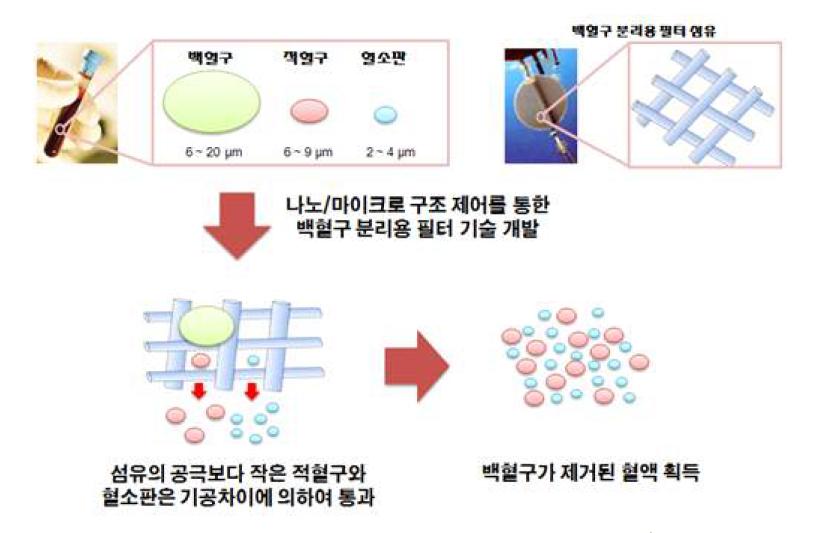 나노/마이크로 구조를 통한 백혈구 분리용 필터.