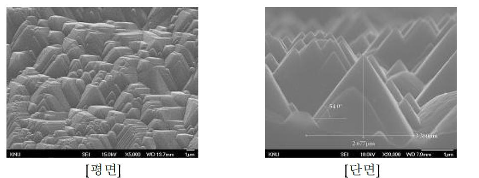 SDR 처리된 단결정 기판 SEM 사진