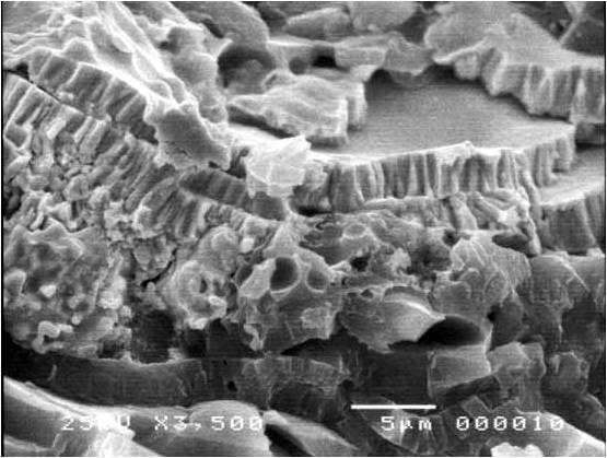 Fracture surface of an plasma sprayed ceramic coating